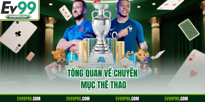 Tổng quan về chuyên mục thể thao